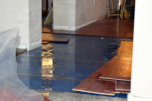 Professional Basement Flood Cleanup technician working in Borden, IN